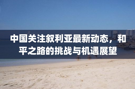 中国关注叙利亚最新动态，和平之路的挑战与机遇展望