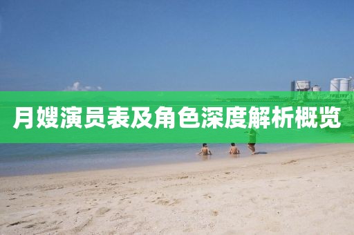 月嫂演员表及角色深度解析概览