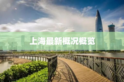 上海最新概况概览