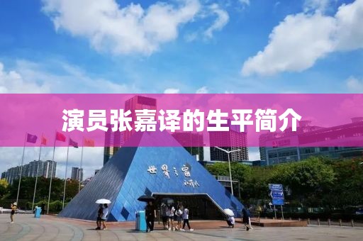 演员张嘉译的生平简介