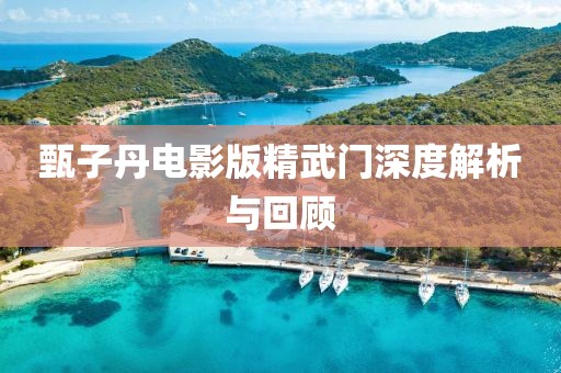 甄子丹电影版精武门深度解析与回顾