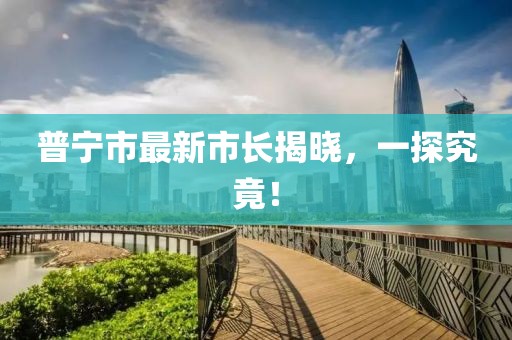 普宁市最新市长揭晓，一探究竟！