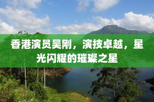 香港演员吴刚，演技卓越，星光闪耀的璀璨之星
