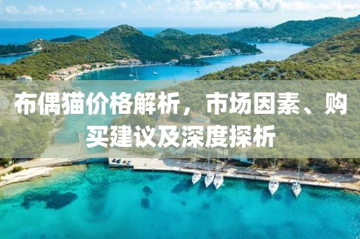 布偶猫价格解析，市场因素、购买建议及深度探析