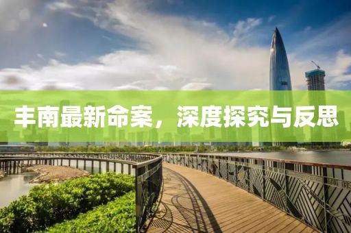 丰南最新命案，深度探究与反思