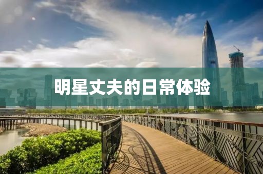 明星丈夫的日常体验