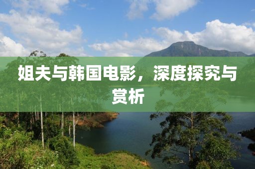 姐夫与韩国电影，深度探究与赏析