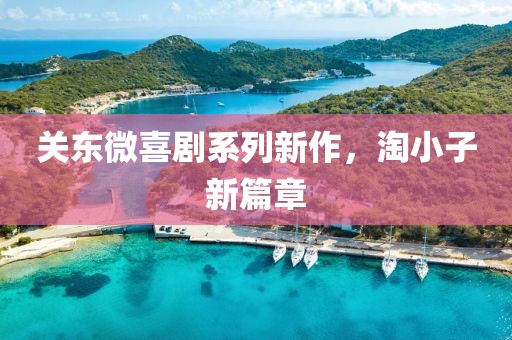 关东微喜剧系列新作，淘小子新篇章
