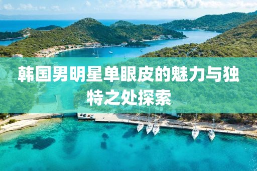 韩国男明星单眼皮的魅力与独特之处探索