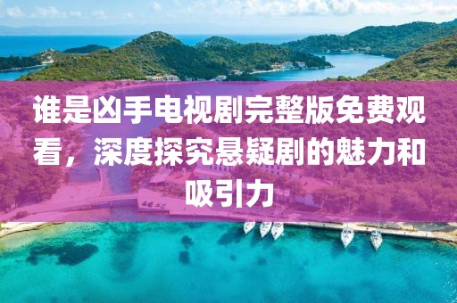 谁是凶手电视剧完整版免费观看，深度探究悬疑剧的魅力和吸引力