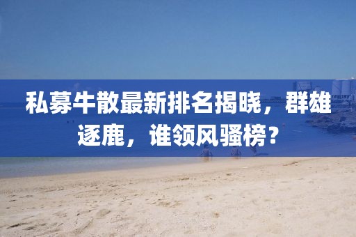 私募牛散最新排名揭晓，群雄逐鹿，谁领风骚榜？