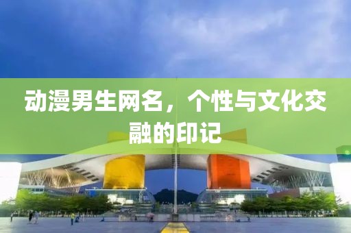 动漫男生网名，个性与文化交融的印记