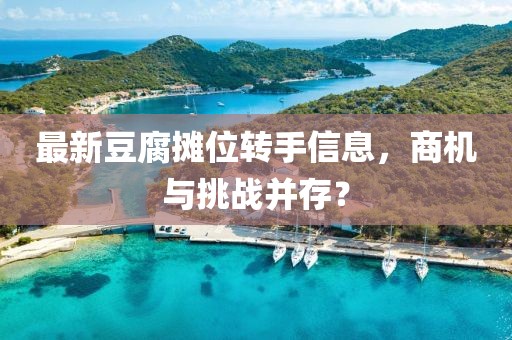 最新豆腐摊位转手信息，商机与挑战并存？