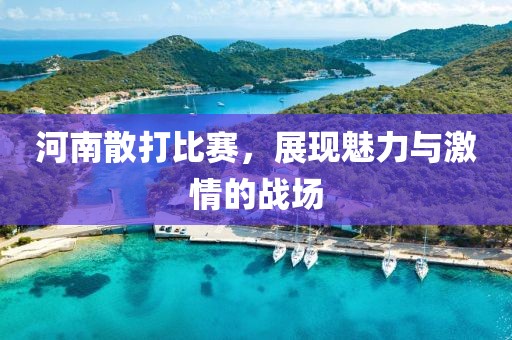 河南散打比赛，展现魅力与激情的战场