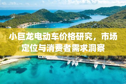 小巨龙电动车价格研究，市场定位与消费者需求洞察