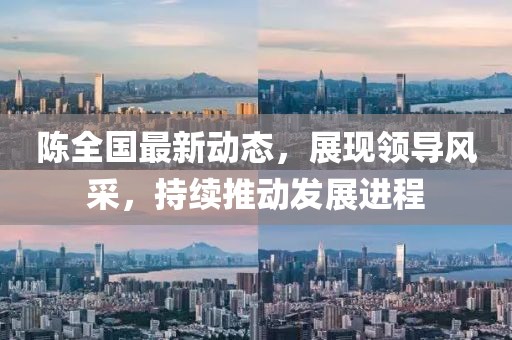 陈全国最新动态，展现领导风采，持续推动发展进程