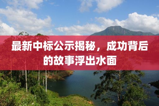 最新中标公示揭秘，成功背后的故事浮出水面