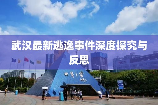 武汉最新逃逸事件深度探究与反思