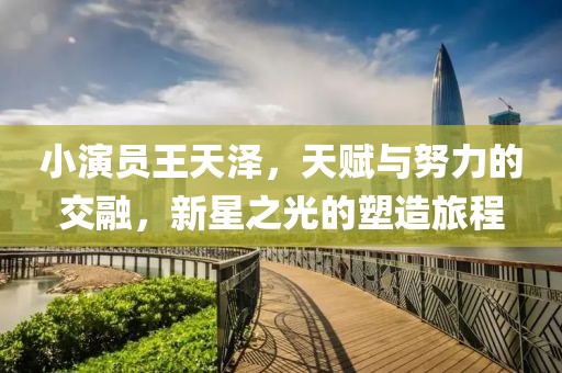 小演员王天泽，天赋与努力的交融，新星之光的塑造旅程