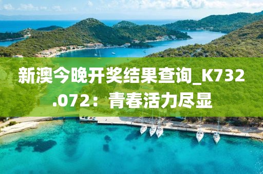 新澳今晚开奖结果查询_K732.072：青春活力尽显