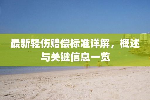 最新轻伤赔偿标准详解，概述与关键信息一览