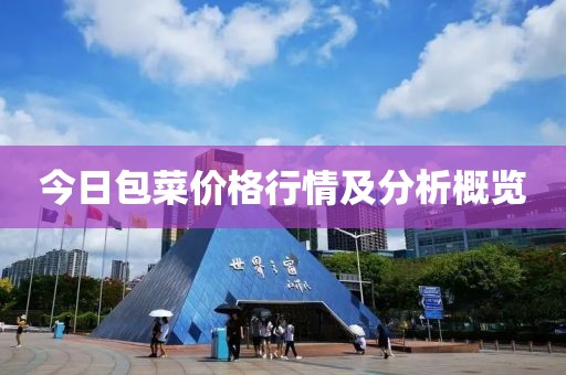 今日包菜价格行情及分析概览