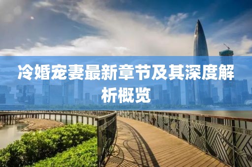 冷婚宠妻最新章节及其深度解析概览