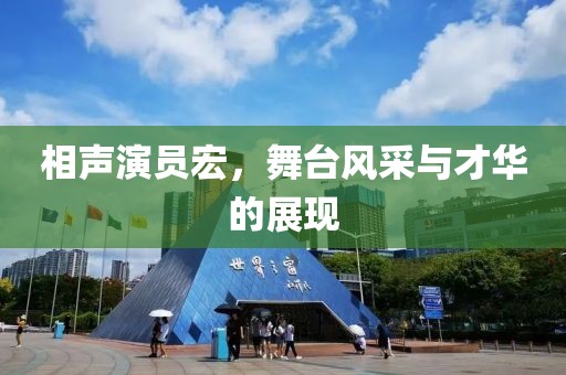 相声演员宏，舞台风采与才华的展现