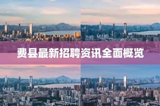 费县最新招聘资讯全面概览