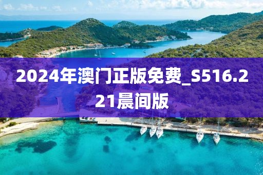 2024年澳门正版免费_S516.221晨间版