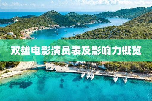 双雄电影演员表及影响力概览