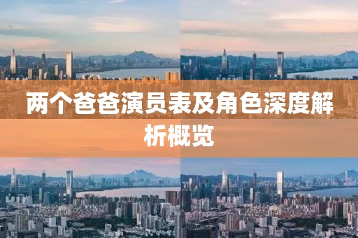 两个爸爸演员表及角色深度解析概览