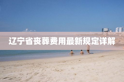 辽宁省丧葬费用最新规定详解