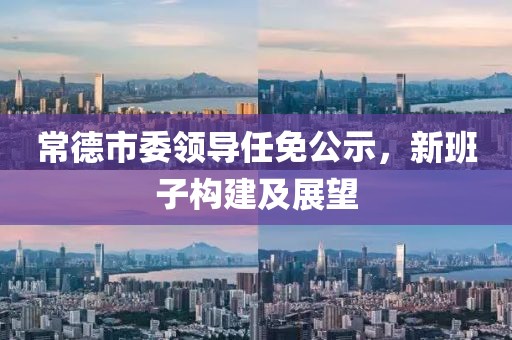 常德市委领导任免公示，新班子构建及展望