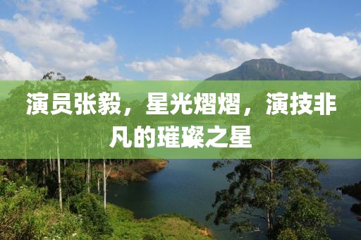演员张毅，星光熠熠，演技非凡的璀璨之星