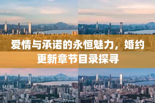 爱情与承诺的永恒魅力，婚约更新章节目录探寻