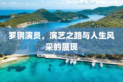 罗钢演员，演艺之路与人生风采的展现