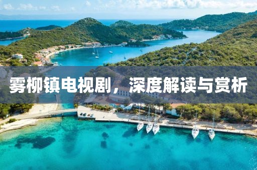 雾柳镇电视剧，深度解读与赏析