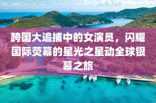 跨国大追捕中的女演员，闪耀国际荧幕的星光之星动全球银幕之旅