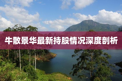 牛散景华最新持股情况深度剖析