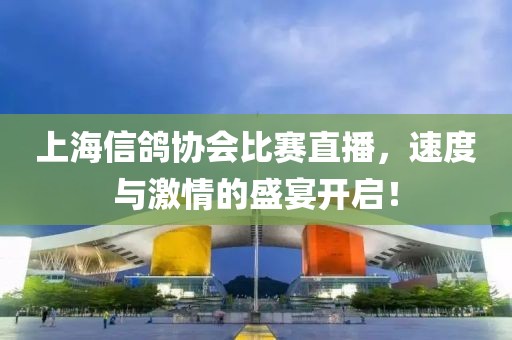 上海信鸽协会比赛直播，速度与激情的盛宴开启！