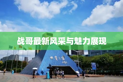 战哥最新风采与魅力展现
