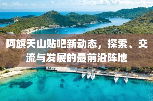 阿旗天山贴吧新动态，探索、交流与发展的最前沿阵地