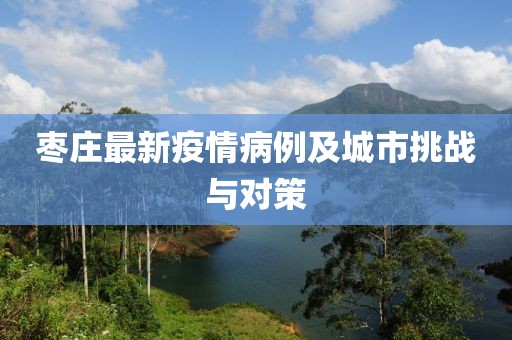 枣庄最新疫情病例及城市挑战与对策