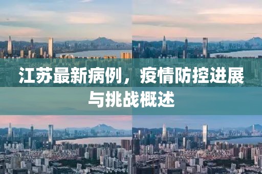 江苏最新病例，疫情防控进展与挑战概述