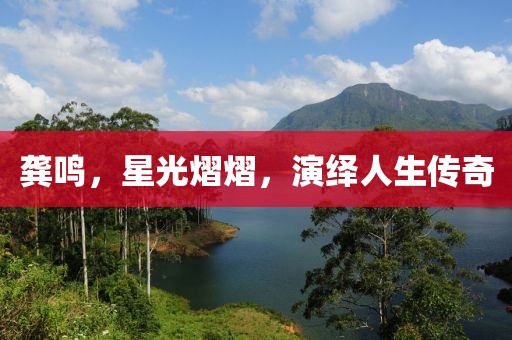 龚鸣，星光熠熠，演绎人生传奇