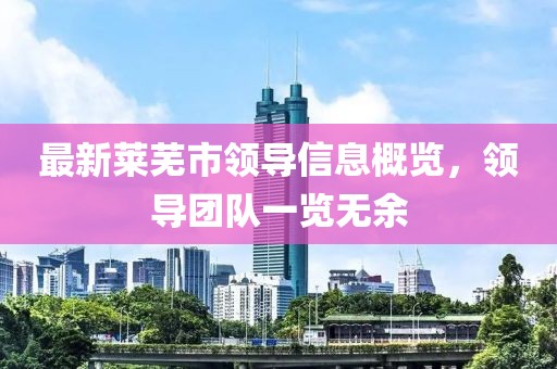 最新莱芜市领导信息概览，领导团队一览无余
