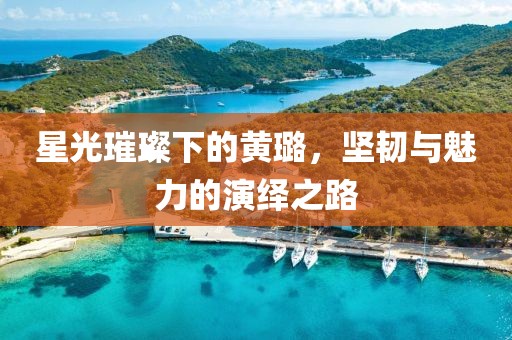 星光璀璨下的黄璐，坚韧与魅力的演绎之路