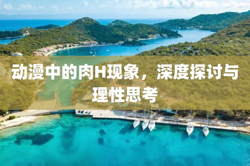 动漫中的肉H现象，深度探讨与理性思考