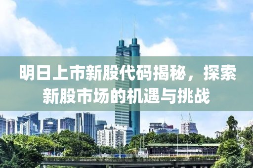 明日上市新股代码揭秘，探索新股市场的机遇与挑战